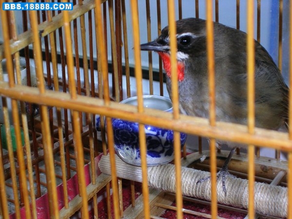 DSCN6800.JPG