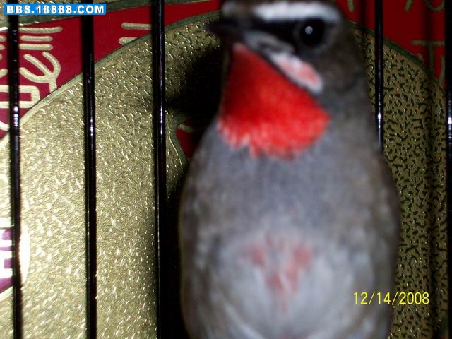100_8651.JPG