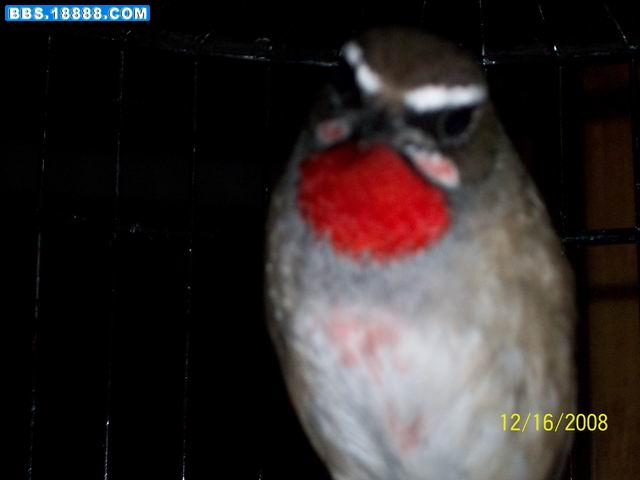 100_9250.JPG