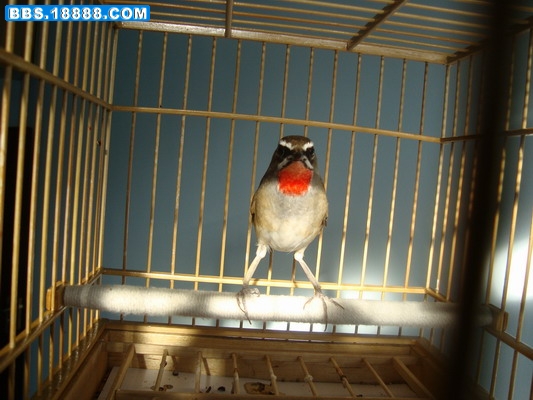 DSC02145_调整大小.JPG