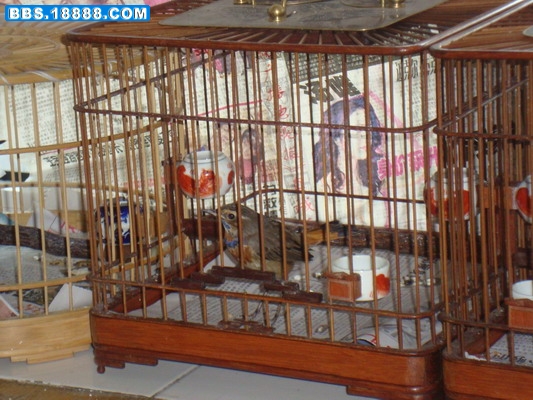 DSC02165_调整大小.JPG
