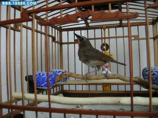 DSC02435.JPG