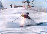 2005042114262614b7b.jpg