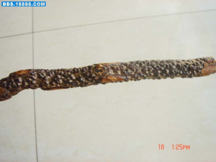 DSC09732.JPG