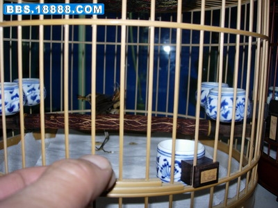 DSCN3497.jpg