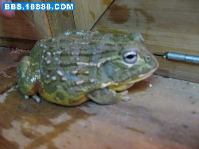 IMG_1394.jpg