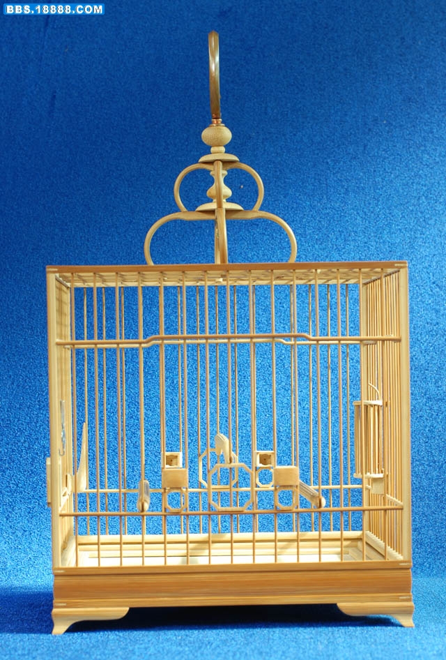 照片 150.jpg