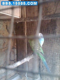 IMG0376A.jpg
