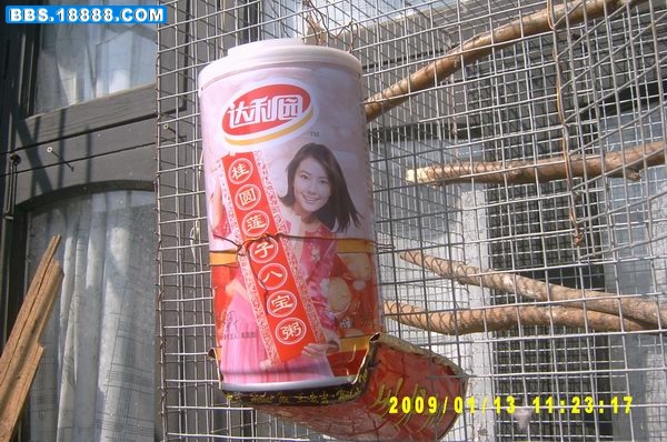 6.JPG