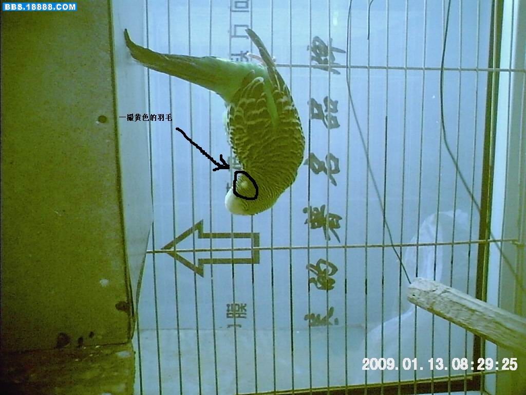 DCOO0037.JPG