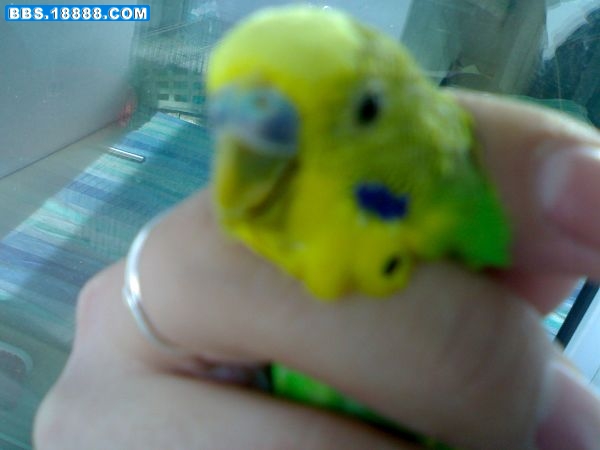 20090113831.jpg