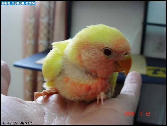 DSC03955_nEO_IMG.jpg