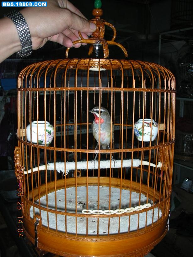 照片 113.jpg