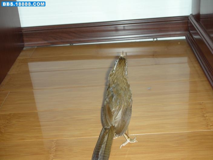 照片 307.jpg
