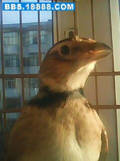 IMG0135A.jpg