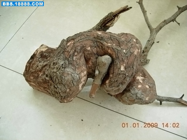 DSCN2843.jpg