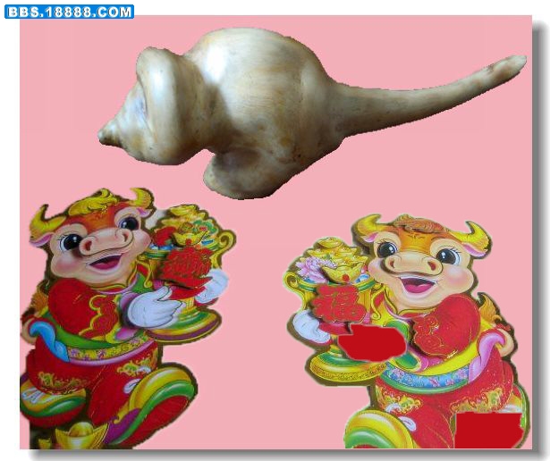 牛2副本.jpg