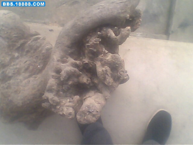 IMG0719A.jpg