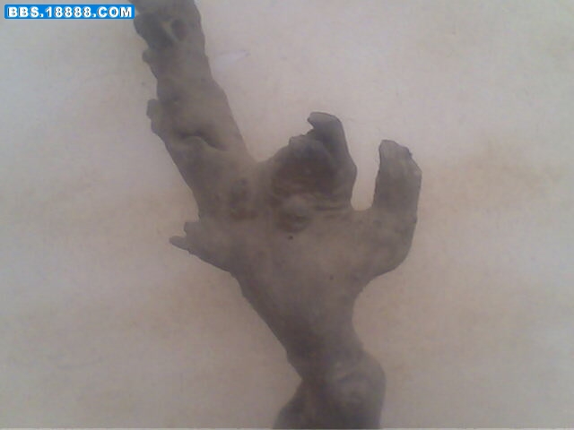 IMG0713A.jpg