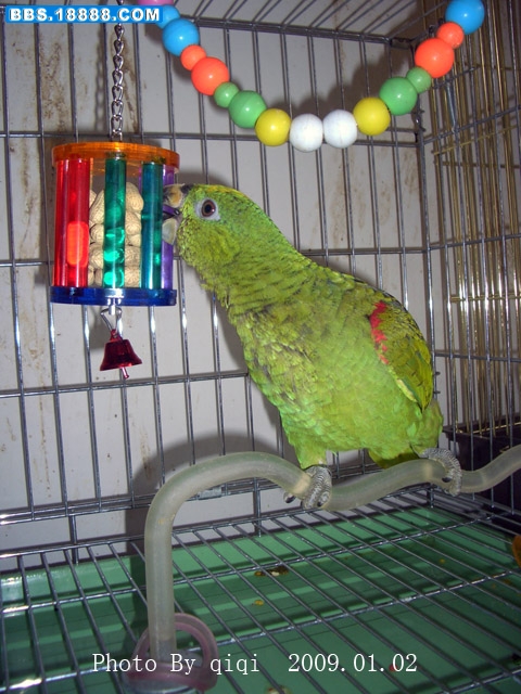 CIMG0071.JPG