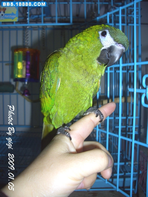 CIMG0078.JPG