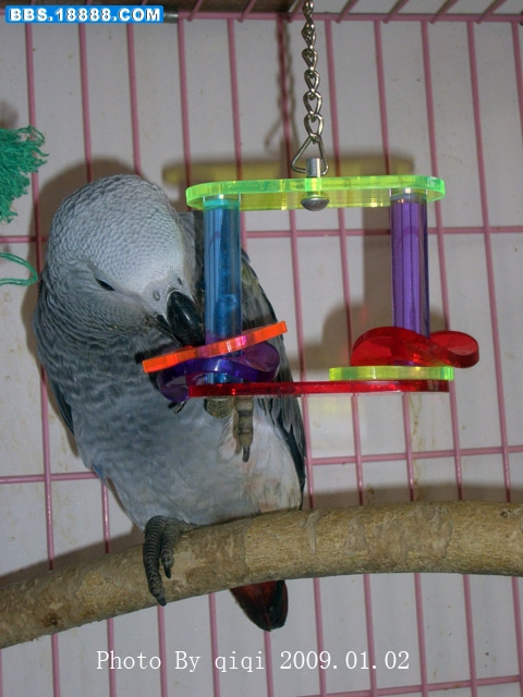 CIMG0064.JPG