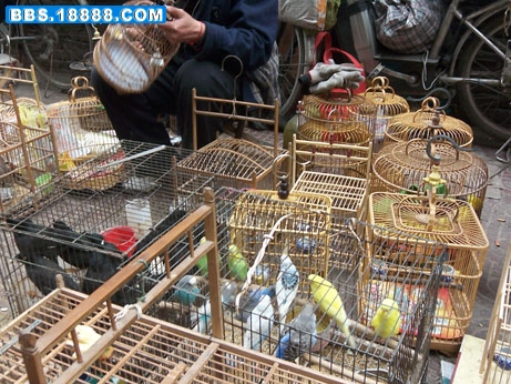 西仓8.jpg