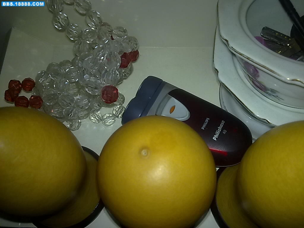 20090125226.jpg