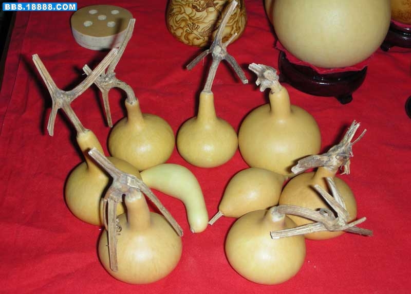 DSCN4560.jpg