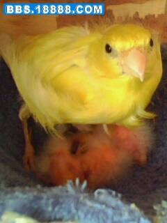 IMG0627A.jpg