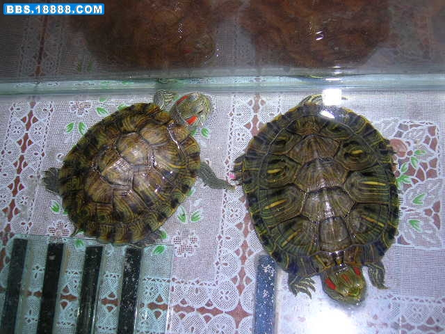 DSCN2056.JPG
