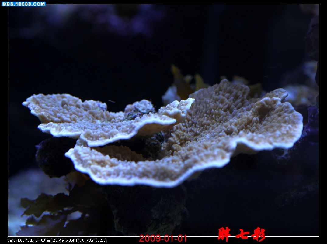 照片 2051.jpg