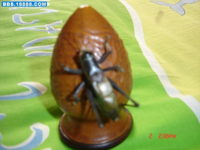 DSC08889.JPG