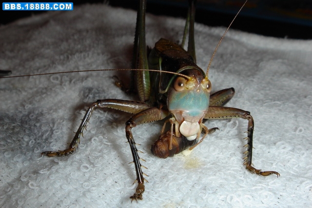 DSC02065_调整大小.JPG