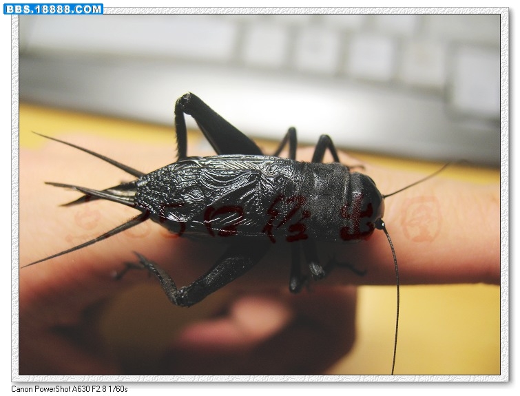 nEO_IMG_照片 025.jpg