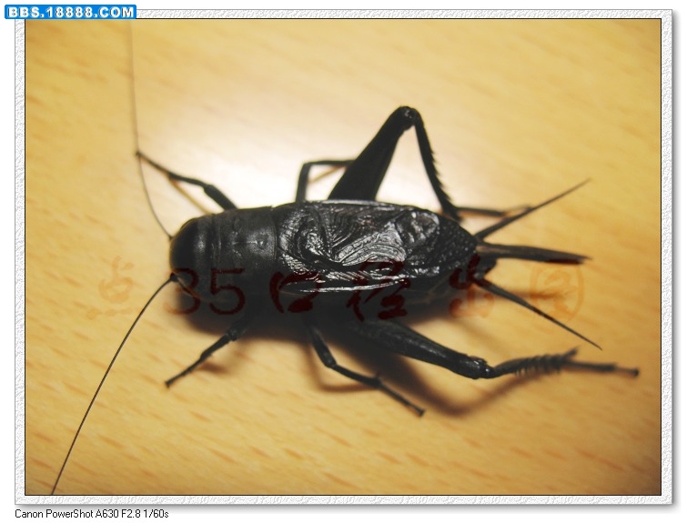 nEO_IMG_照片 023.jpg
