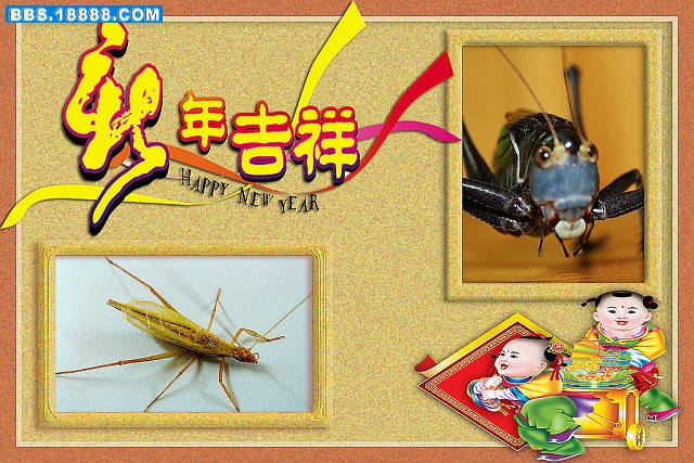 新年快乐.jpg