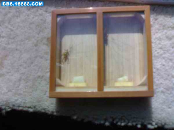 200901251004.jpg