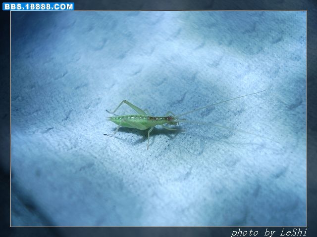 DSC06770.JPG