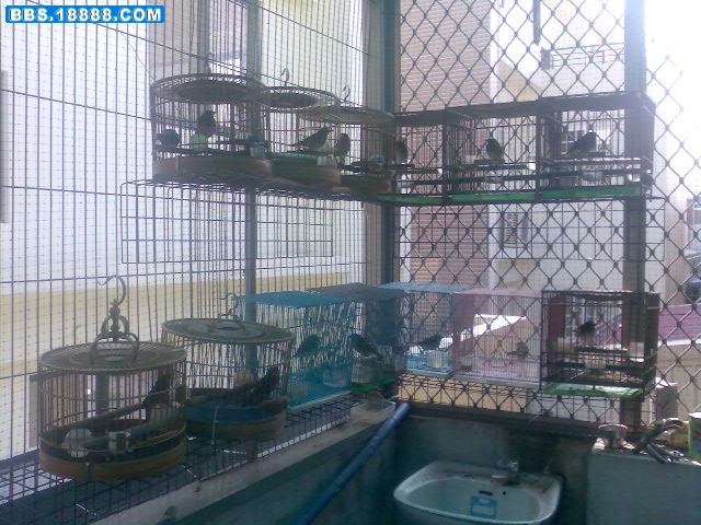影像034.jpg