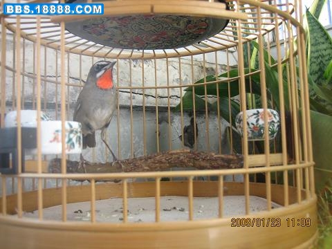 IMG_0032.jpg