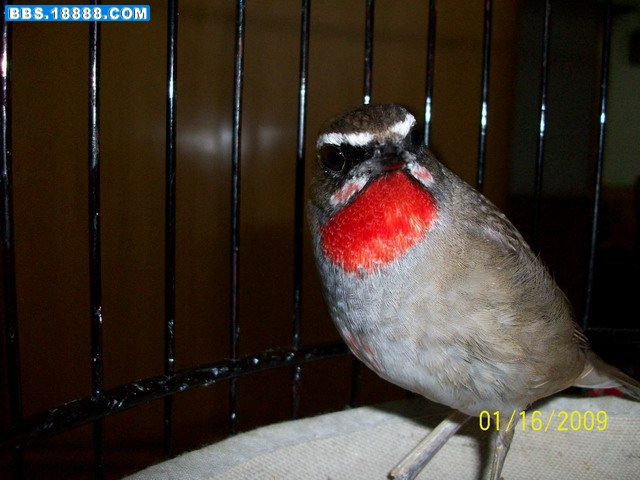 100_2124.jpg