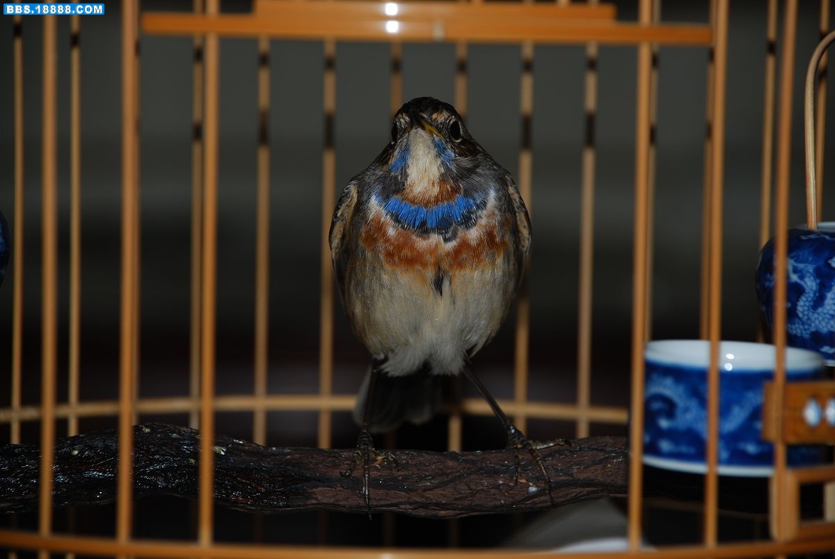 DSC_0151.JPG