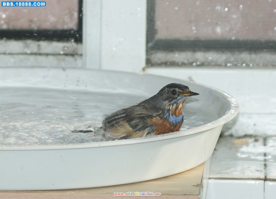 DSC02785.JPG