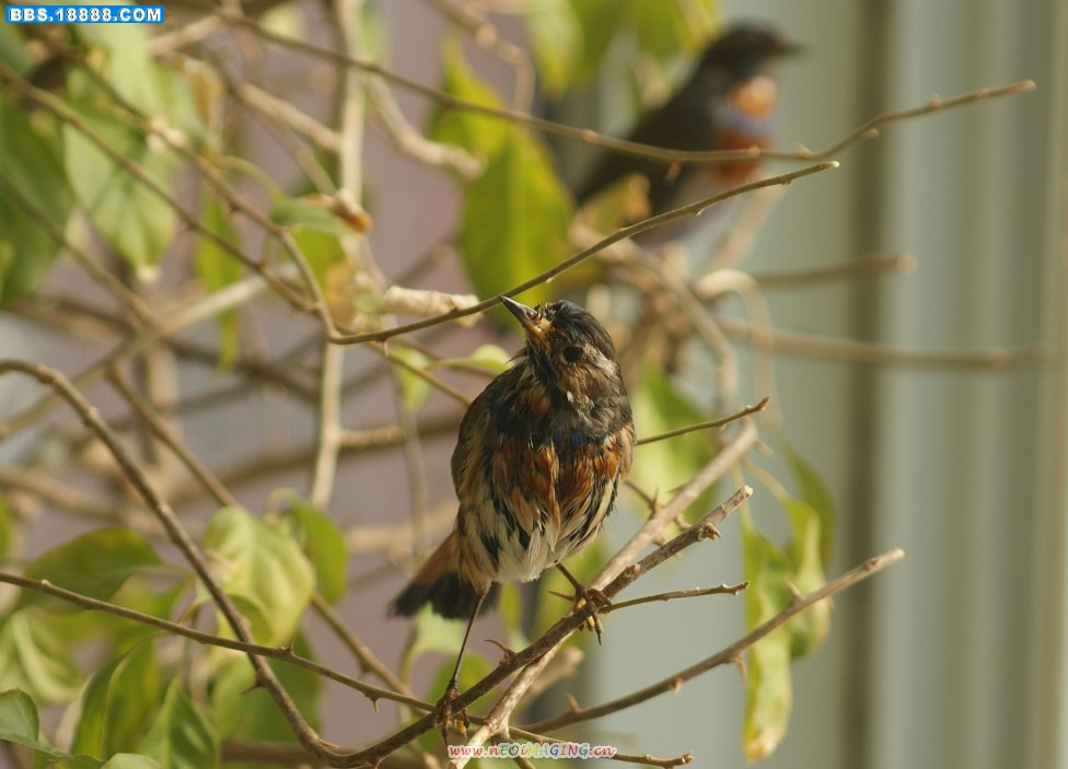 DSC02844.JPG