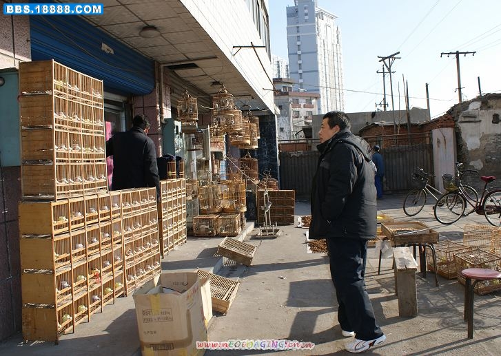 DSC01762.JPG