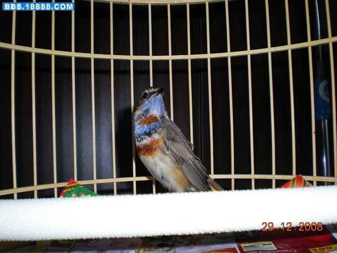 DSCN1552.JPG