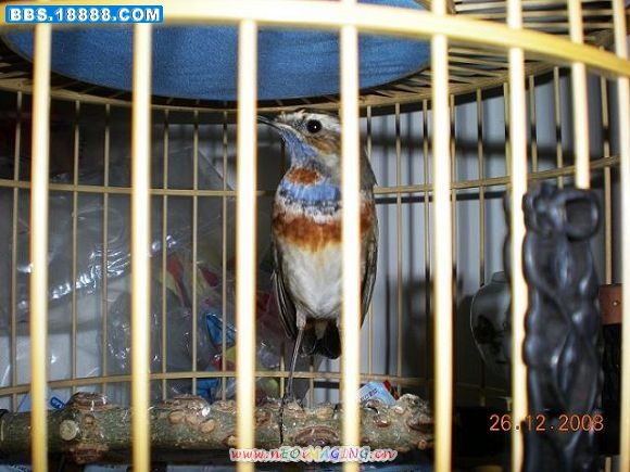 DSCN1524.JPG