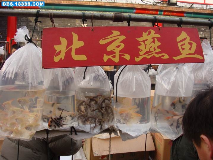 调整大小 DSC00892.JPG
