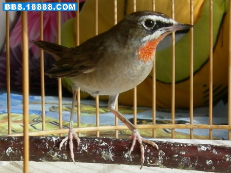 RSCN2119.jpg